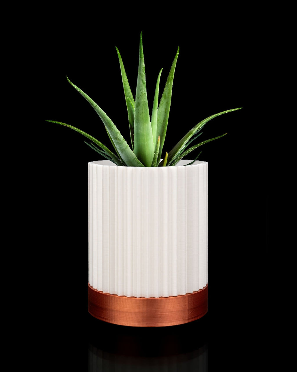 CYLINDRIX Wall Planter