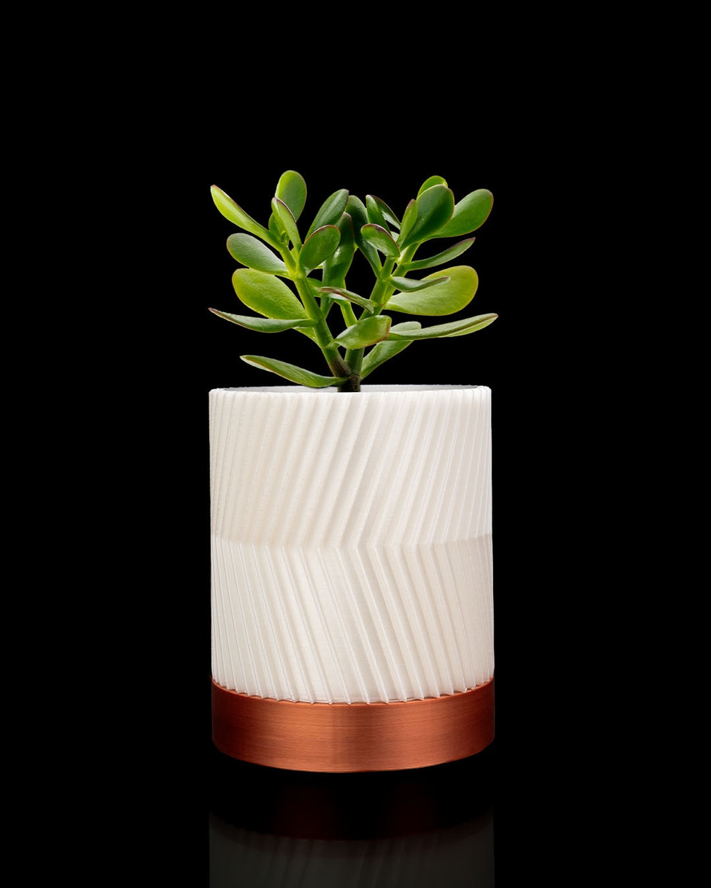 CYLINDRIX Wall Planter