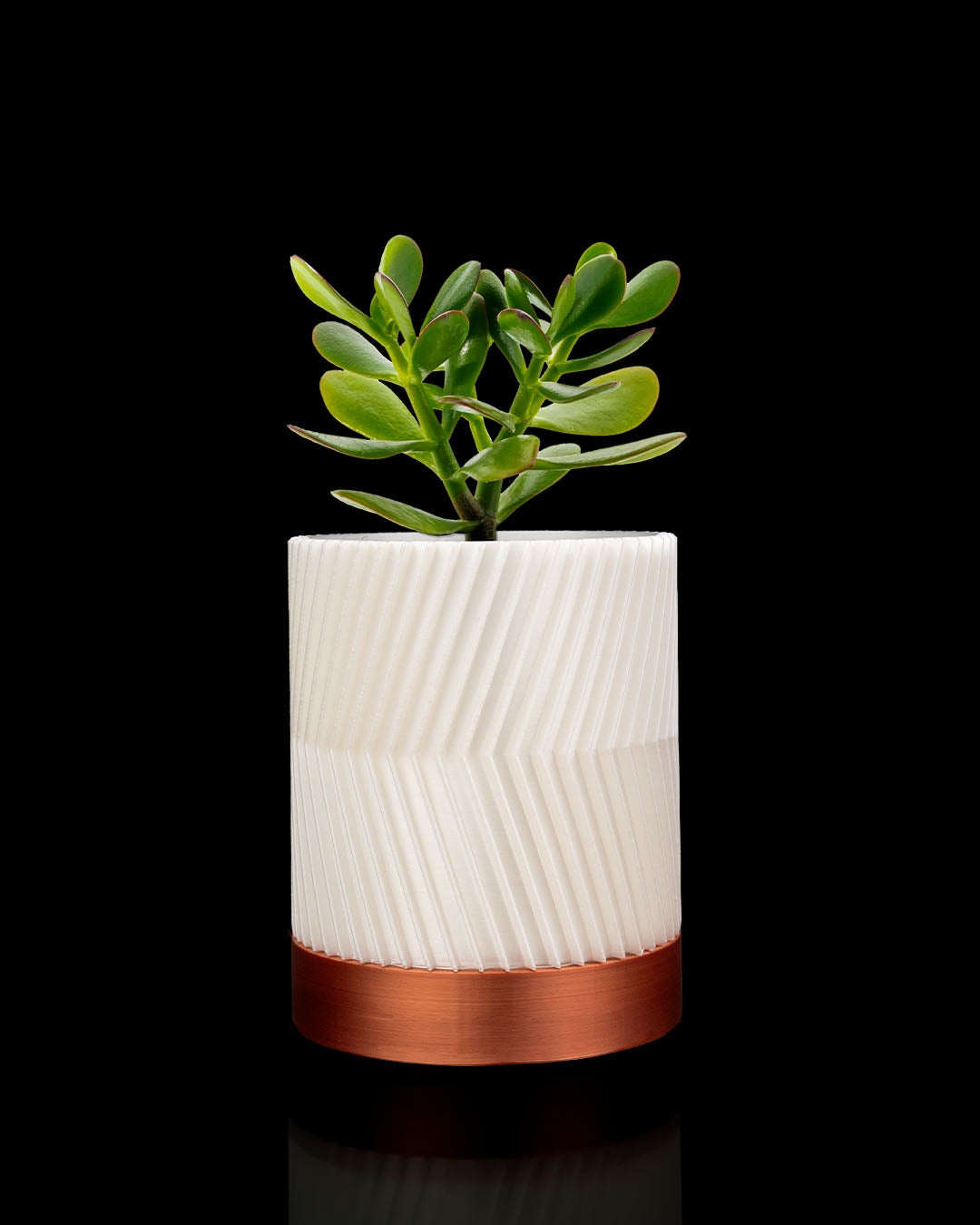 CYLINDRIX Wall Planter