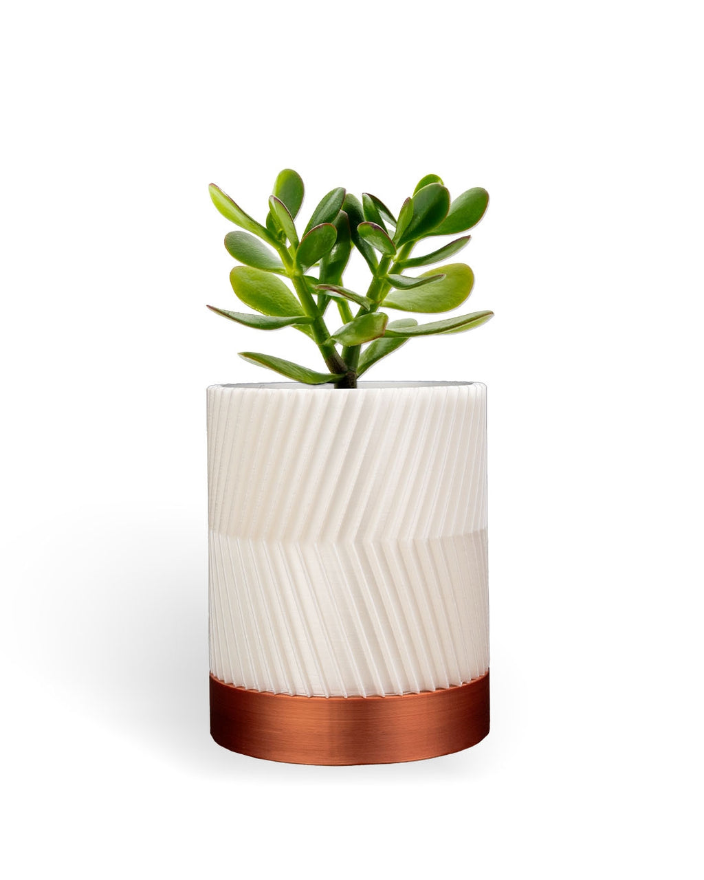 CYLINDRIX Wall Planter